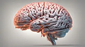چاپ ۳ بعدی بافت زنده مغز انسان را ببینید