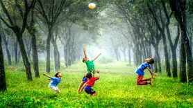 چرا باید خانه های تان را نزدیک پارک بخرید؟