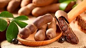 تمرهندی منبع بزرگ پروتئین است / برای کبد چرب و دیابت معجزه می کند