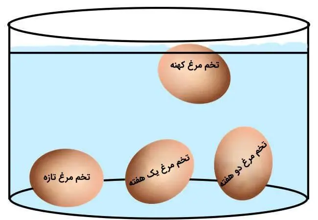 تشخیص تازگی تخم مرغ با این ترفند ساده + آموزش آزمایش تازگی تخم مرغ | با تخم مرغ خراب چه کار کنیم؟