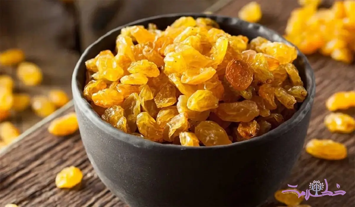 اگر کم خون و مبتلا به آنمی هستید از این خشکبار غافل نشوید