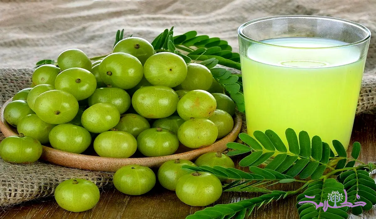 خواص درمانی و تاریخی آملا را برای سلامت جدی بگیرید