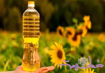 روغن سویا، کانولا یا آفتابگردان، کدام برای سلامتی بهتر است؟ + جدول مقایسه