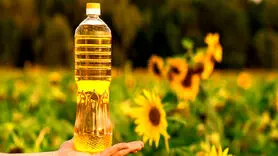روغن سویا، کانولا یا آفتابگردان، کدام برای سلامتی بهتر است؟ + جدول مقایسه