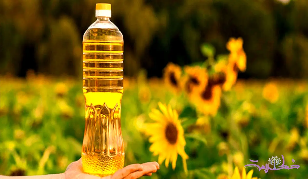 روغن سویا، کانولا یا آفتابگردان، کدام برای سلامتی بهتر است؟ + جدول مقایسه