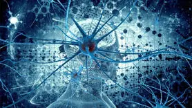 آیا ذهنیت کندو دارید؟ 
