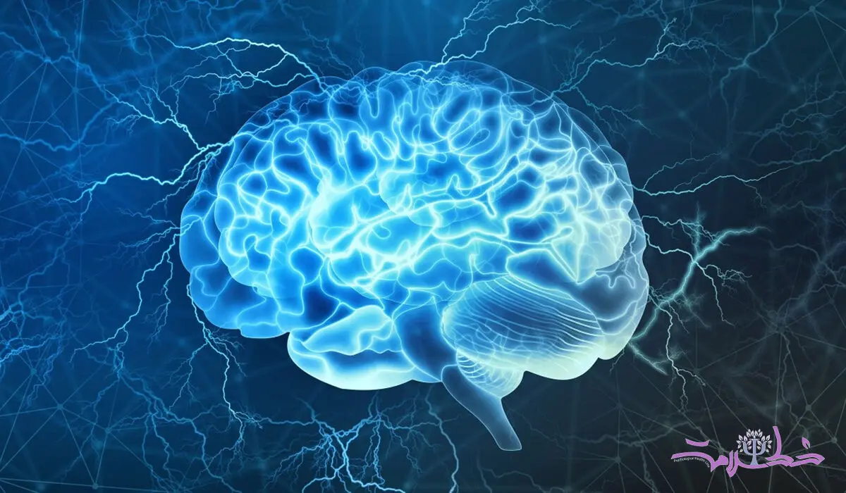 اگر این 5 کار را فراموش نکنید مغزتان 6 میلیارد دلار می ارزد 
