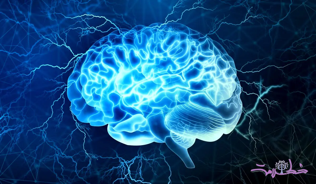 اگر این 5 کار را فراموش نکنید مغزتان 6 میلیارد دلار می ارزد 