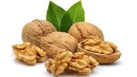 فیلم/ با این تکنیک گردوها را پوست کاغذی کنید