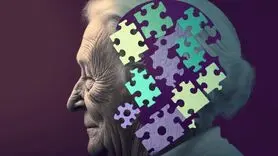 این غذاها را بخورید تا فراموشی نگیرید