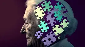 این غذاها را بخورید تا فراموشی نگیرید