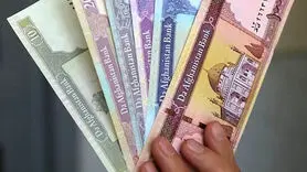 افغانی افغانستان چند؟ / آخرین قیمت افغانی افغانستان امروز جمعه 21 دی ماه 1403