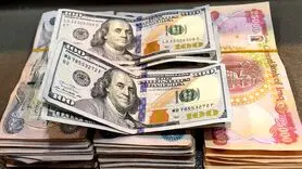 دینار عراق چند؟ / آخرین قیمت دینار عراق امروز یکشنبه 13 آبان 1403