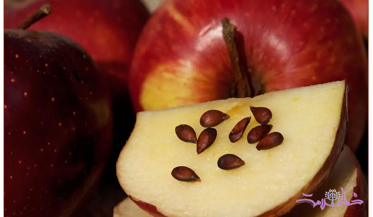 هر روز این 4 ماده غذایی سمی را می خورید و خبر هم ندارید