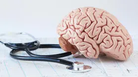مراقب کوچک شدن مغزتان باشید + فیلم با راهکارهای ساده