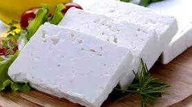 این پنیر باعث لاغری تان می‌شود