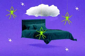دیدن عنکبوت در خواب به چه معنایی است؟