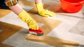 فیلم/ نحوه متفاوت تمیز کردن فرش و مبل برای خانه تکانی + این ایده ابتکار نمی گذارد دست تان درد بگیرد