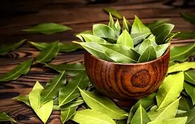 فواید شگفت انگیز برگ کاری برای سلامتی