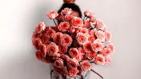 راز جذابیت در این یک علامت خلاصه شد / آخرین یافته علمی