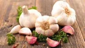 سیر و تاثیر شگفت‌انگیز آن بر ریه‌ها