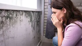 این علائم نشان  می دهد در خانه تان کپک وجود دارد+ نحوه پیشگیری از آن در خانه