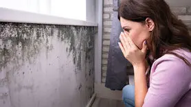 این علائم نشان  می دهد در خانه تان کپک وجود دارد+ نحوه پیشگیری از آن در خانه