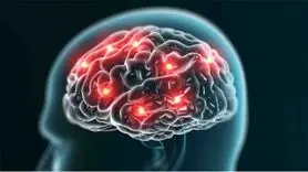 آیا در مغز سالم میکروب وجود دارد ؟