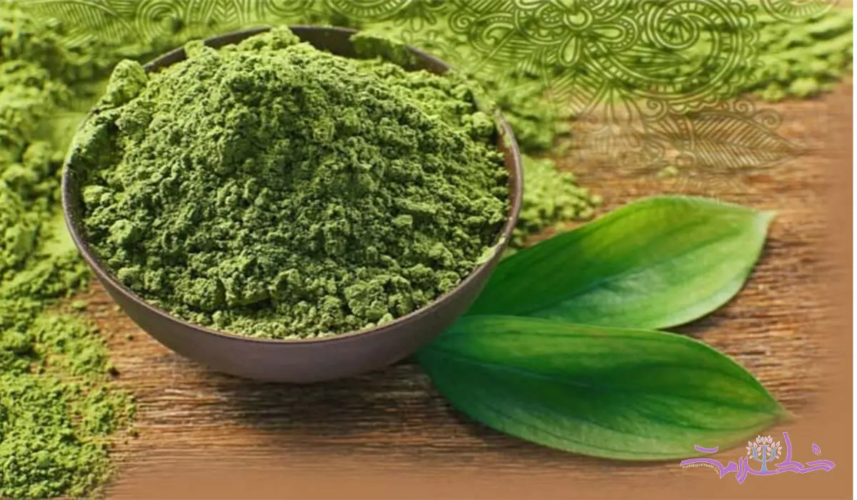 حنا برای تقویت مو چند ساعت روی سر بماند ؟/ برای تیره تر شدن موها با حنا این ترکیب را درست کنید + آموزش حنا گذاشتن روی مو 