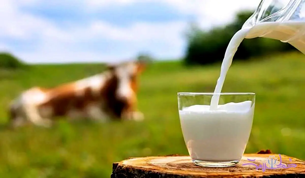 یک لیوان شیر چه خاصیتی برای سلامتی تان دارد؟