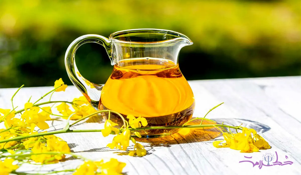 فریب بزرگ روغن کانولا دانشمندان چه می‌گویند؟