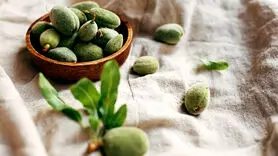 فواید شگفت انگیز علمی چاقاله بادام برای استخوان + 2 فایده دیگر
