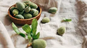 فواید شگفت انگیز علمی چاقاله بادام برای استخوان + 2 فایده دیگر
