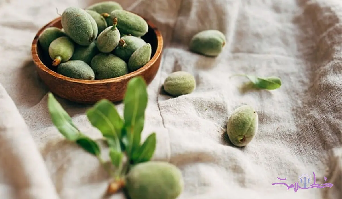 فواید شگفت انگیز علمی چاقاله بادام برای استخوان + 2 فایده دیگر
