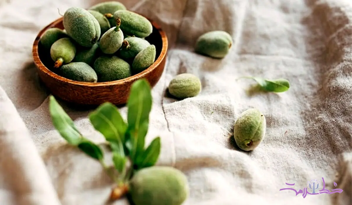 فواید شگفت انگیز علمی چاقاله بادام برای استخوان + 2 فایده دیگر
