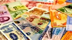 درهم امارات چند؟ جدیدترین نرخ درهم امارات به تومان امروز 7 اسفند 1403