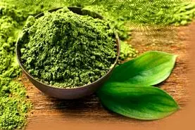 طرز تهیه 7 ضماد برای درمان نیش حشرات و درد پا و زگیل و جوش و عفونت