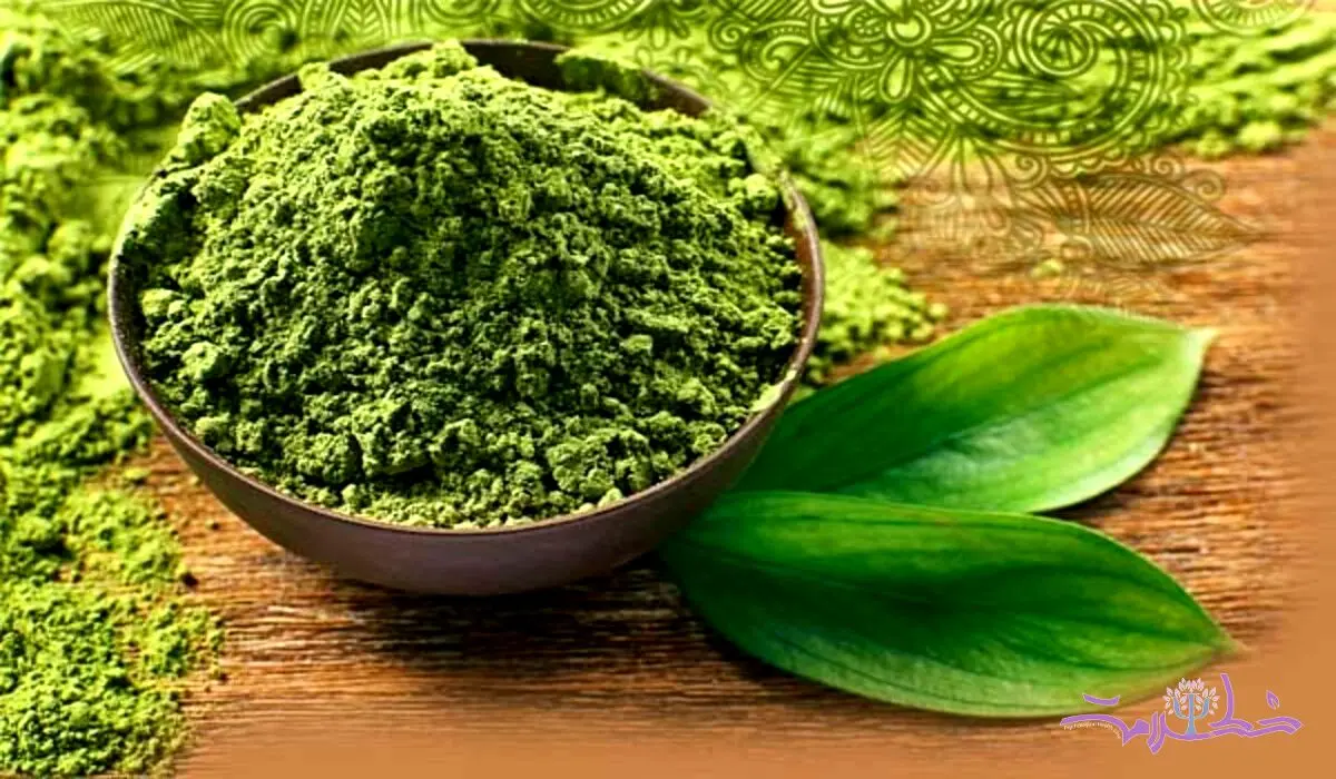 طرز تهیه 7 ضماد برای درمان نیش حشرات و درد پا و زگیل و جوش و عفونت