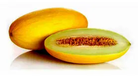 خربزه چه خاصیت و فوایدی دارد؟