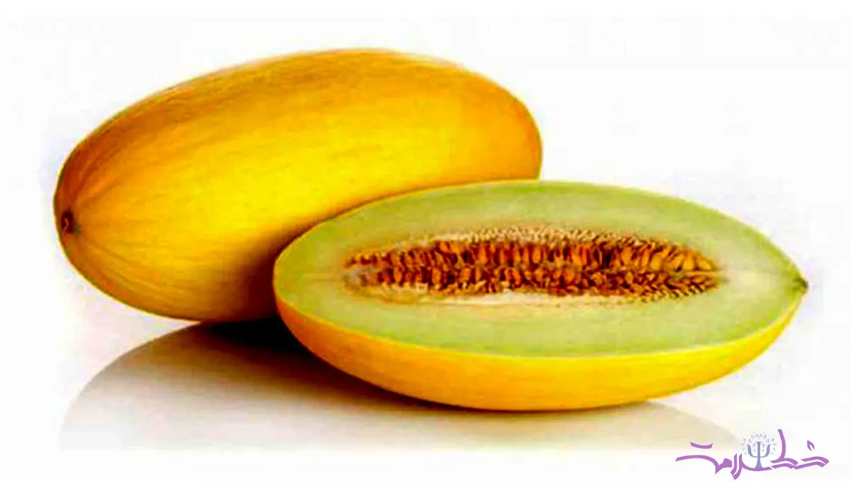 خربزه چه خاصیت و فوایدی دارد؟