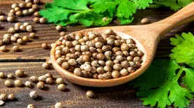 به این دلائی علمی ادویه گشنیز را استفاده کنید