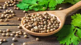 به این دلائی علمی ادویه گشنیز را استفاده کنید