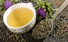 خواص بی اندازه گیاه خار مریم که نمی دانید