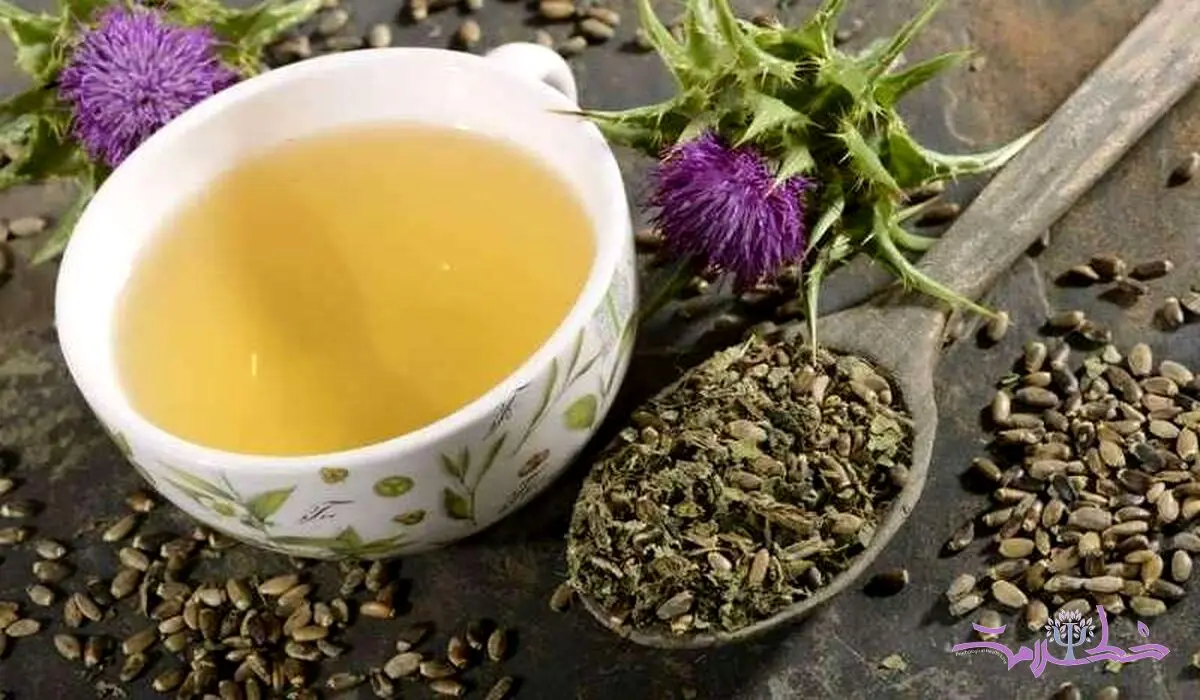 خواص بی اندازه گیاه خار مریم که نمی دانید