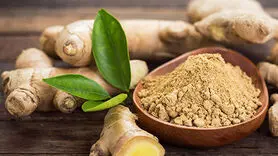 طبع زنجبیل سرد است یا گرم؟ مصلح زنجبیل در طب سنتی را بشناسید
