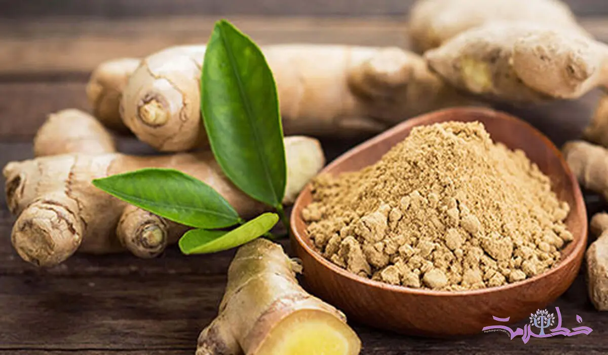 طبع زنجبیل سرد است یا گرم؟ مصلح زنجبیل در طب سنتی را بشناسید