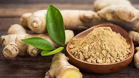 طبع زنجبیل سرد است یا گرم؟ مصلح زنجبیل در طب سنتی را بشناسید
