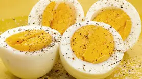 زرده تخم مرغ پر فایده تر است یا سفیده ؟