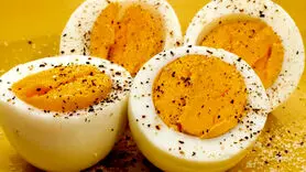 برای کاهش وزن زرده تخم مرغ  را بخورید یا سفیده ؟ 