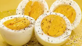 نحوه خوردن تخم مرغ آب پز برای لاغری در ۳ روز